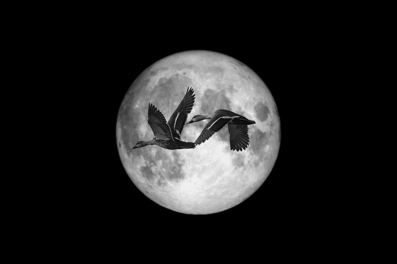Moonlit First Dance